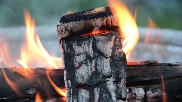 Fire log flames