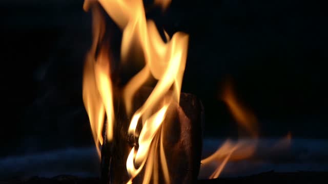 Fire campfire log