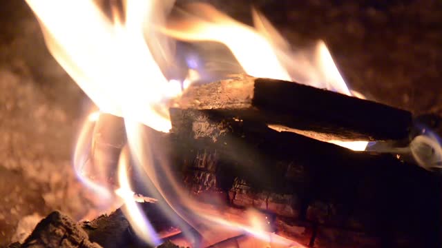 Fire campfire burning wood