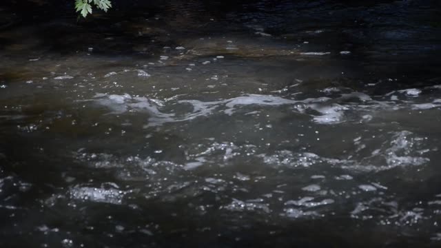 River park water