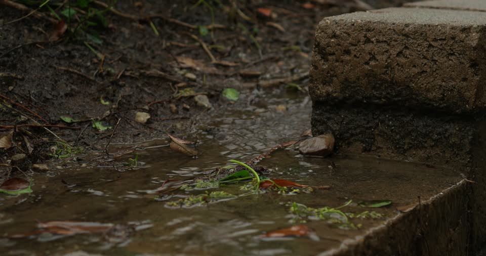 Rain close up rivulet
