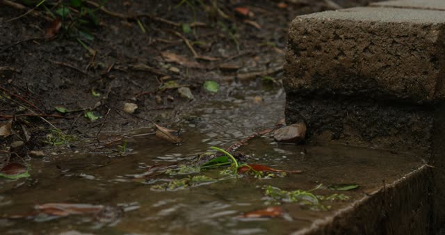 Rain close up rivulet