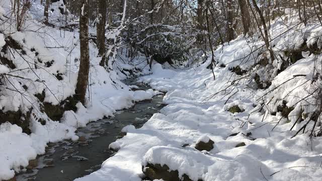 Nature snow that