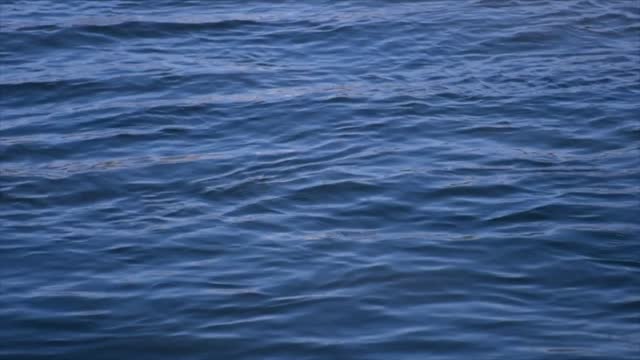 Waves lake water