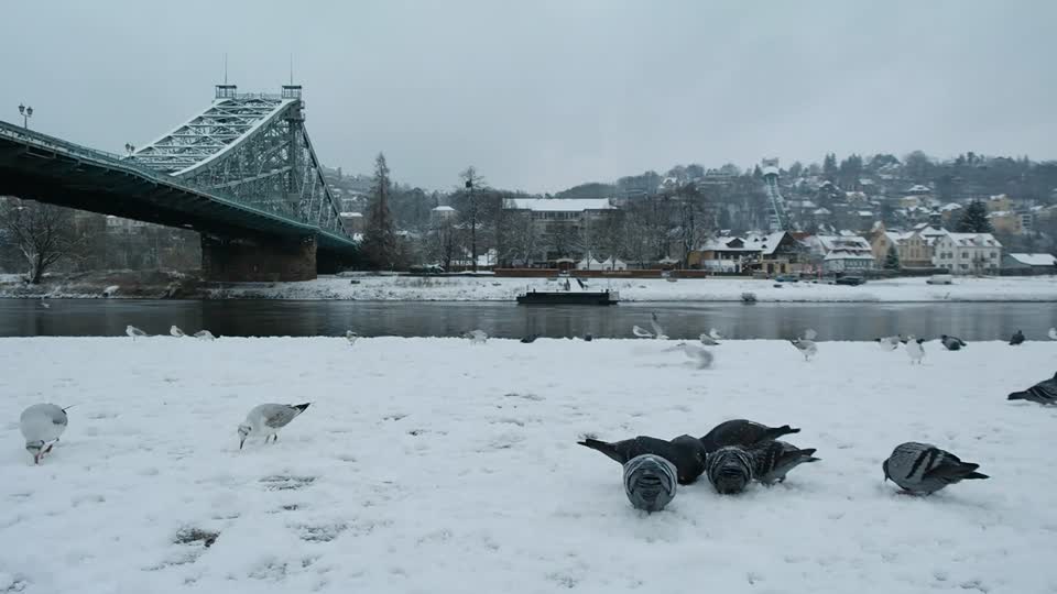 Blue wonder snow dresden