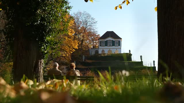 Fall baroque castle seußlitz golden autumn