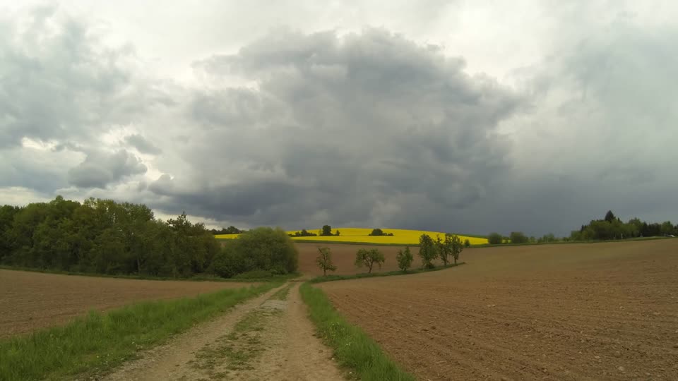 Fields landscape agriculture