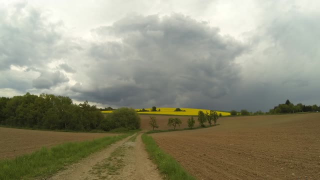 Fields landscape agriculture