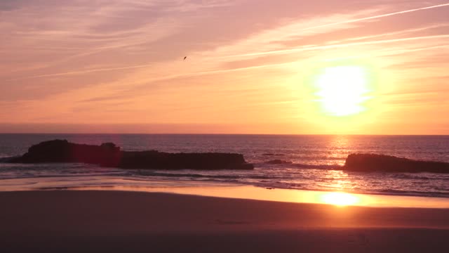 Beach sea ocean