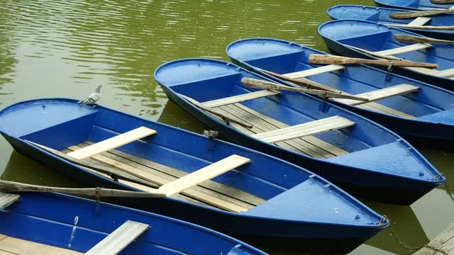 Row boats water blue