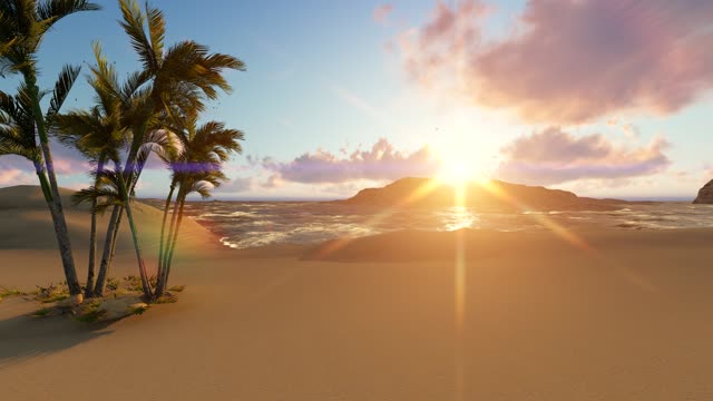 Beach sea sunset