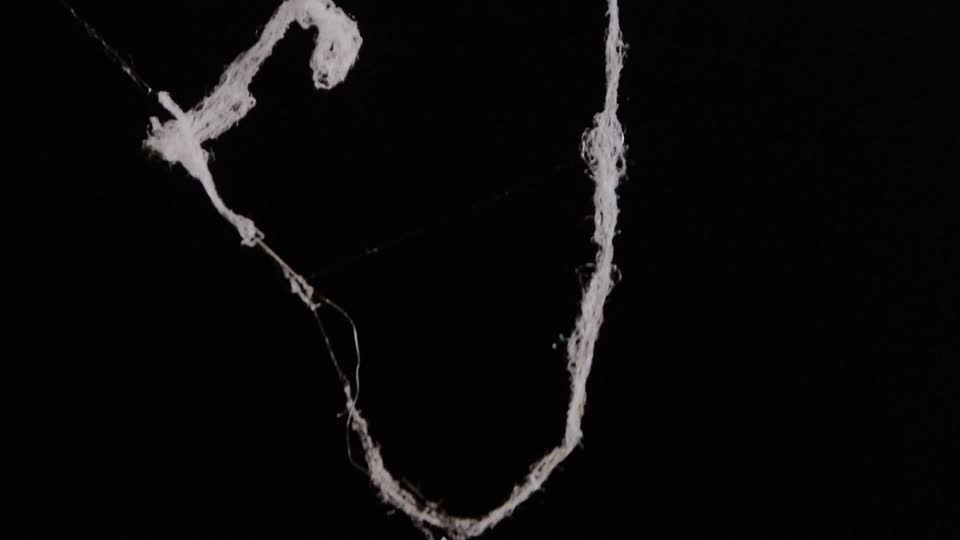 Spider web effect spider