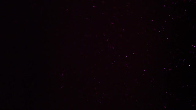 Particles dust pink