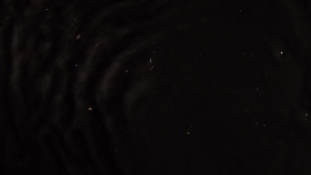 Water waves black