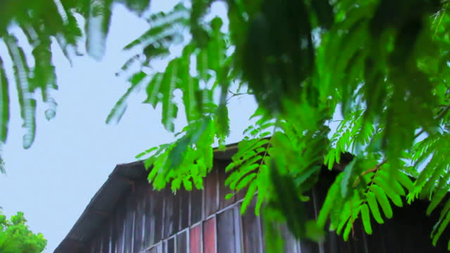Home wood old house