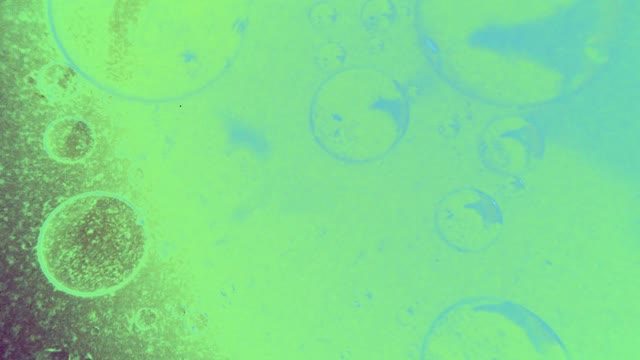 Fluid abstract colors