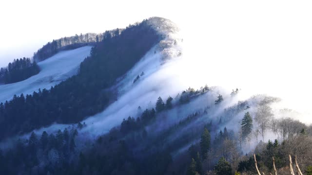 Fog belchenflue fog wall