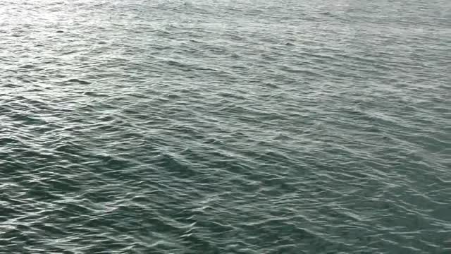 Wave sea glitter