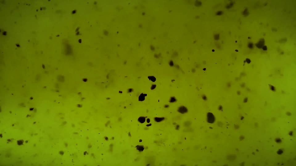 Particles dirt pollution