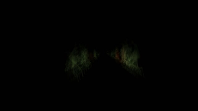 Werewolf fash devil