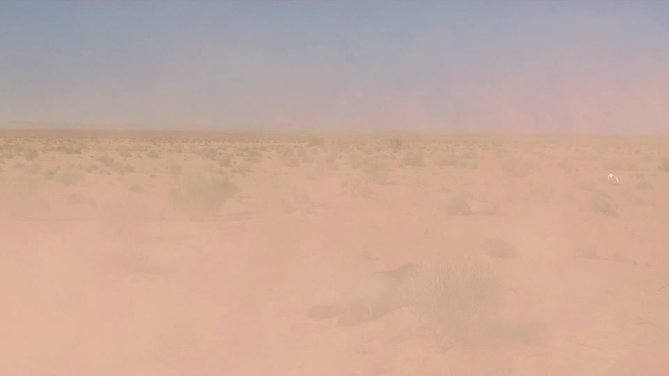Laughed at sahara dry