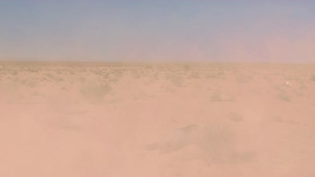 Laughed at sahara dry
