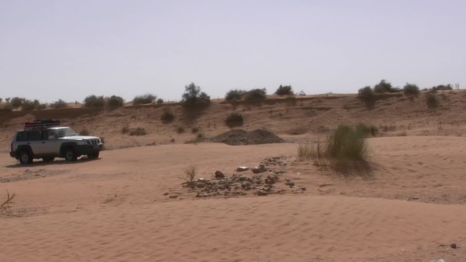 Sahara rally desert
