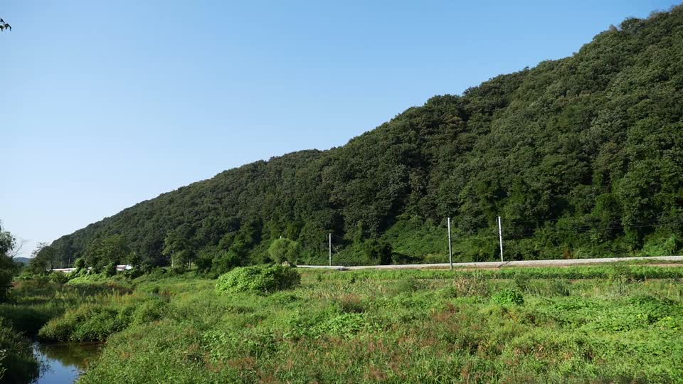 Korea railroad train
