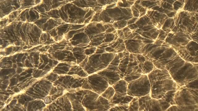 Light light waves wave