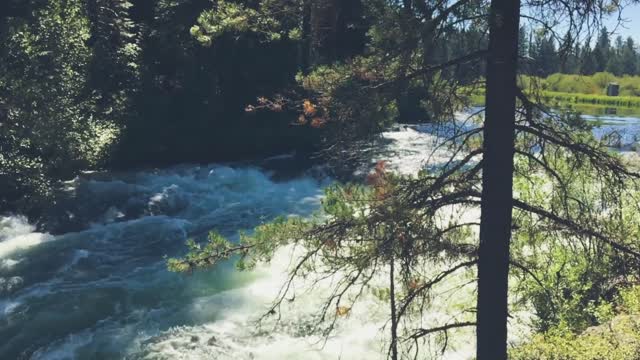Stream rapids river