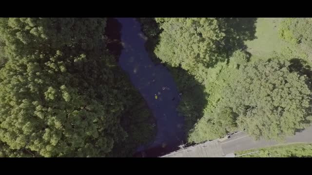 Bridge creek summer