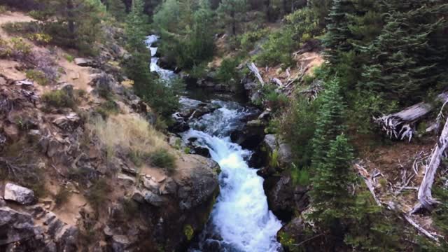 Stream creek cascade