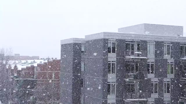 Snowfall snow winter