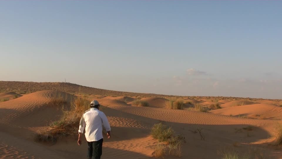 Anatwell sahara desert