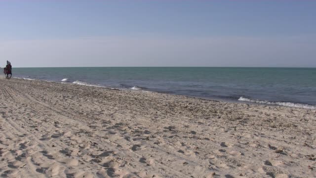Horse rider beach