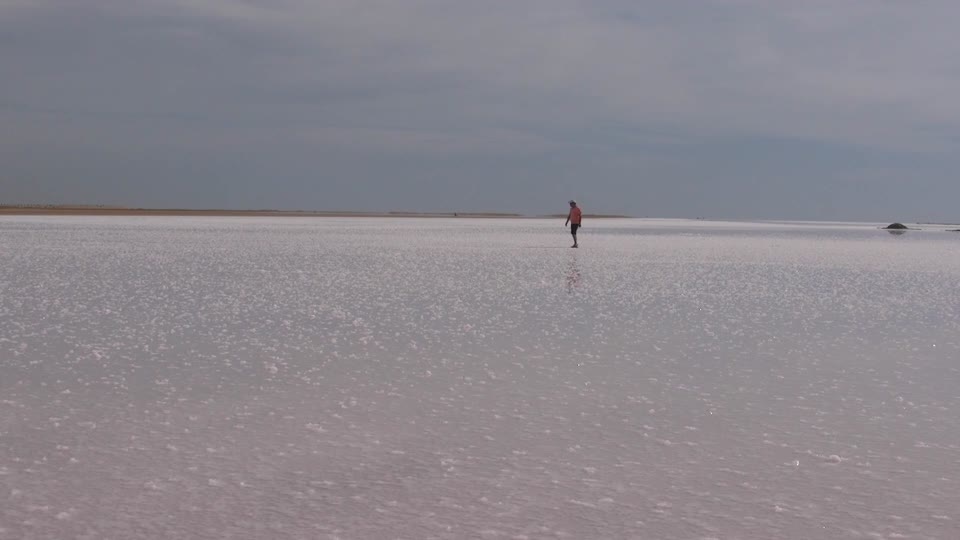 Salt marsh salt landscape