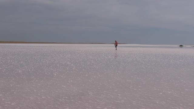 Salt marsh salt landscape
