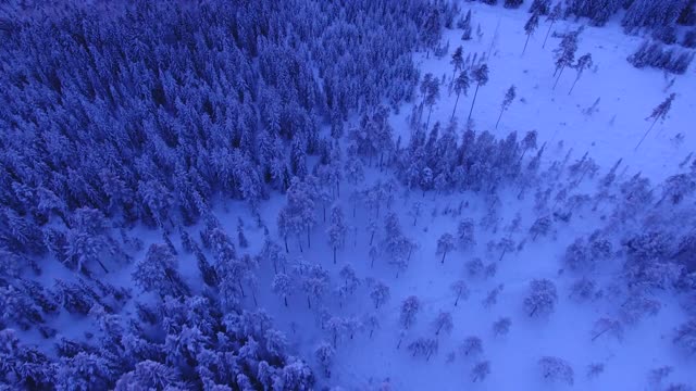 Winter landscape snow