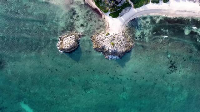 Beach shore aerial view