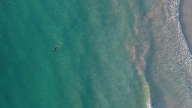 Beach swimming shore