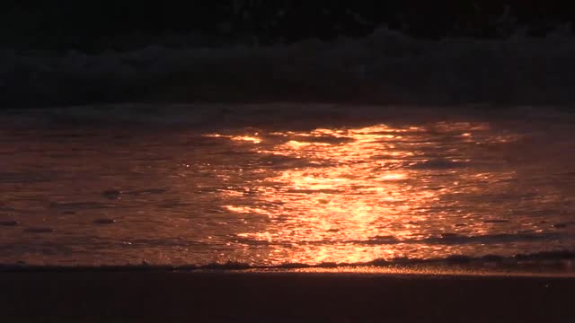 Waves sea beach