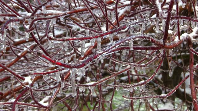 Ice melt icicles