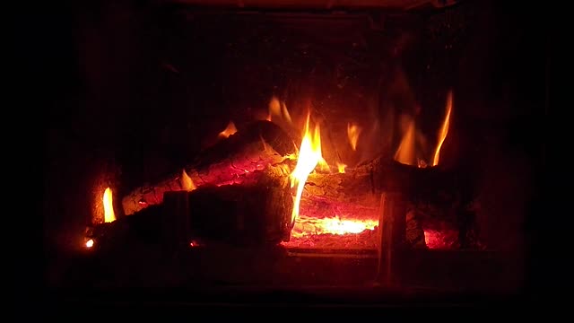 Fireplace fire wood
