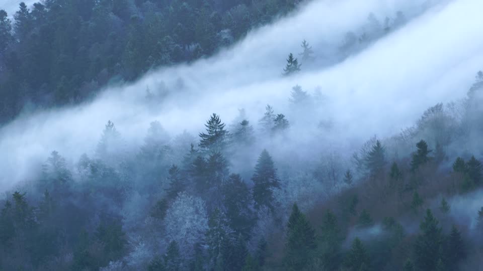 Foggy landscape wave of fog fog