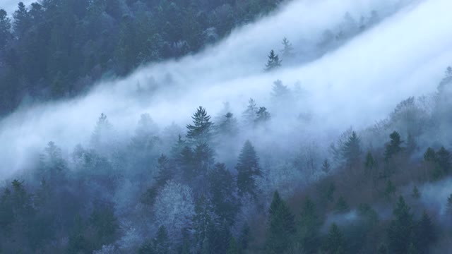 Foggy landscape wave of fog fog