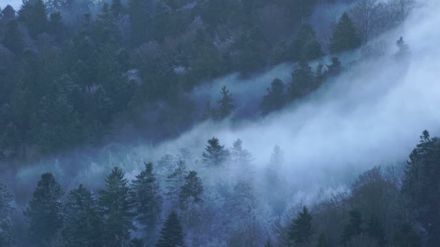 Wave of fog fog foggy landscape