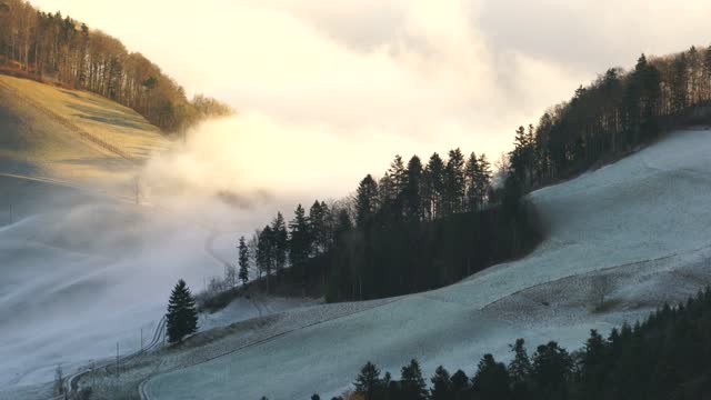 Wave of fog fog mist flow