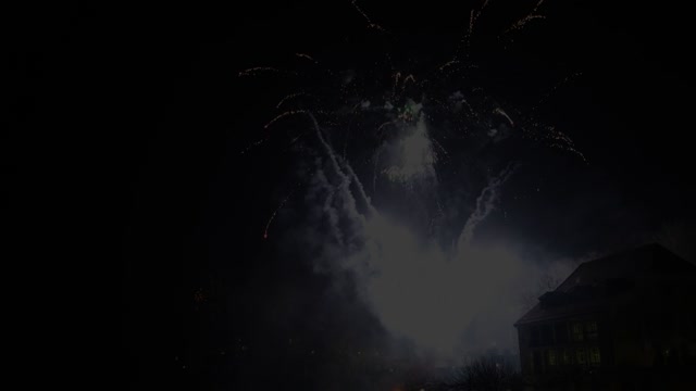 Fireworks missiles sylvester