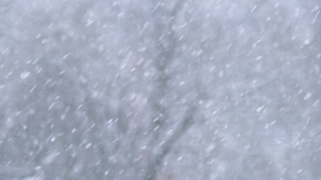 Snowfall snow snowflakes
