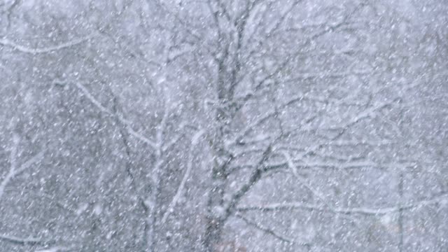 Snow snowfall snowflakes